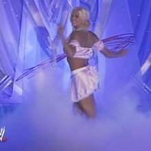 Wwe Divas Undressed Pro Wrestling Fandom