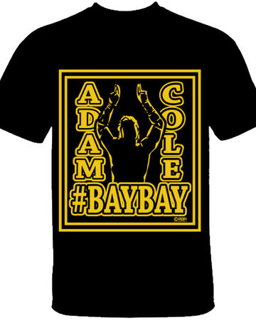 T Shirt Roblox Pro