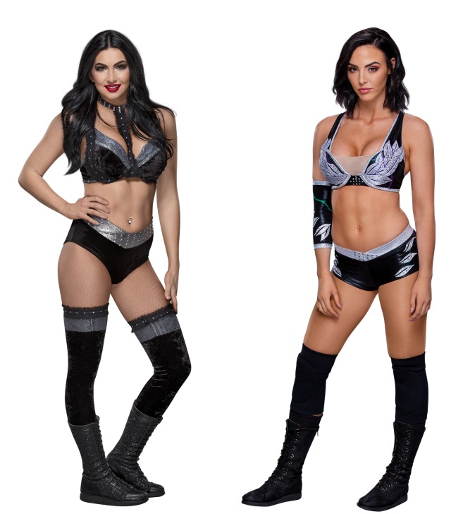 The Iiconics Pro Wrestling Fandom Powered By Wikia 0430