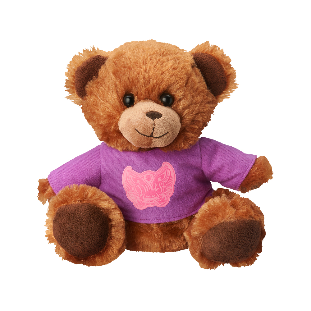 wwe teddy bear