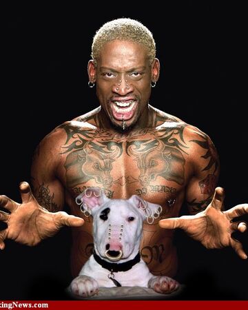 Dennis Rodman Pro Wrestling Fandom