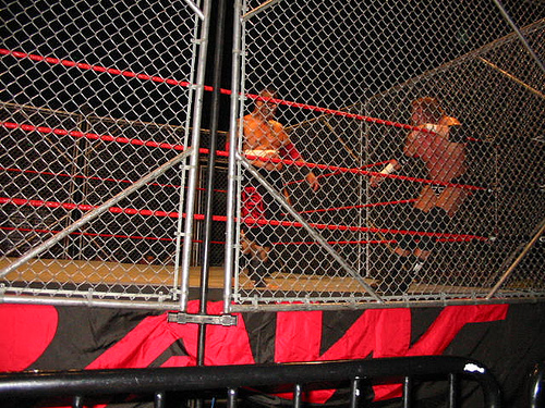 wwe cagematch