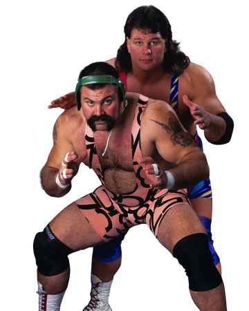 Steiner Brothers Pro Wrestling Fandom