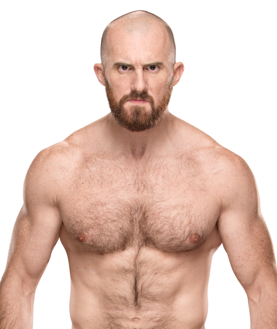 Polltab WWE NXT/NXTUK Knockout Tournament Polltab WWE NXT/NXTUK Knockout Tournament
