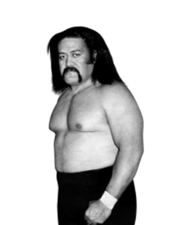 Afa Pro Wrestling Fandom