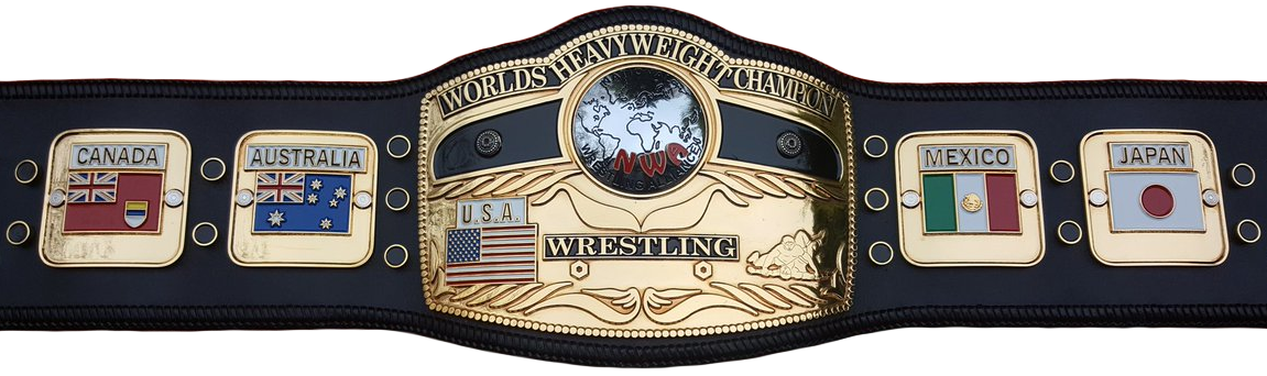 nwa world heavyweight championship