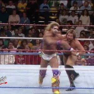 Ultimate Warrior The Ultimate Collection Pro Wrestling Fandom