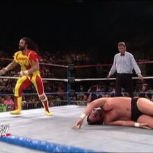 Ultimate Warrior The Ultimate Collection Pro Wrestling Fandom