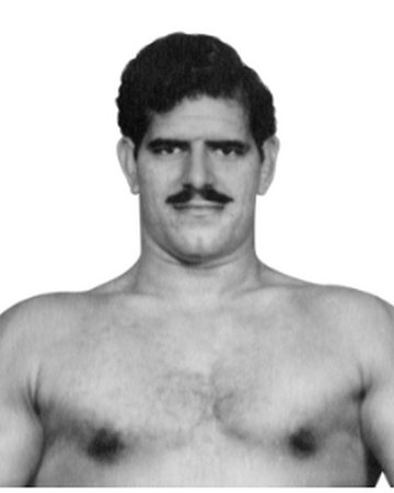 Dara Singh Pro Wrestling Fandom