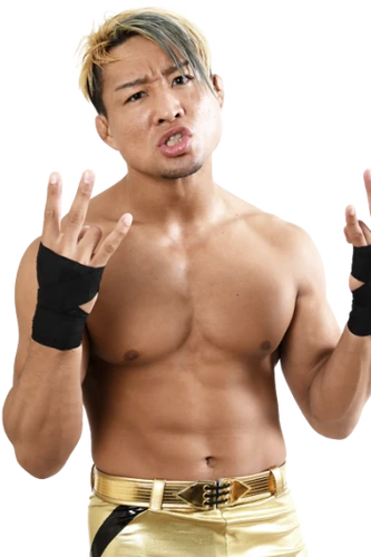 SHO Pro Wrestling Fandom