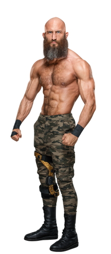 Tommaso Ciampa  Pro Wrestling  FANDOM powered by Wikia