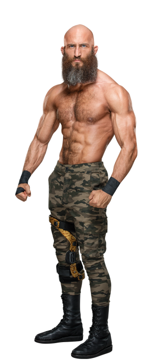 Image result for tommaso ciampa