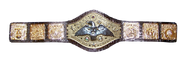 WWE Championship | Pro Wrestling | FANDOM powered by Wikia