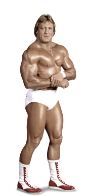 Image result for paul orndorff
