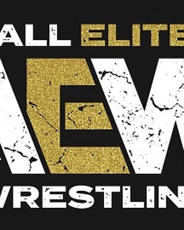 new wrestling promotion