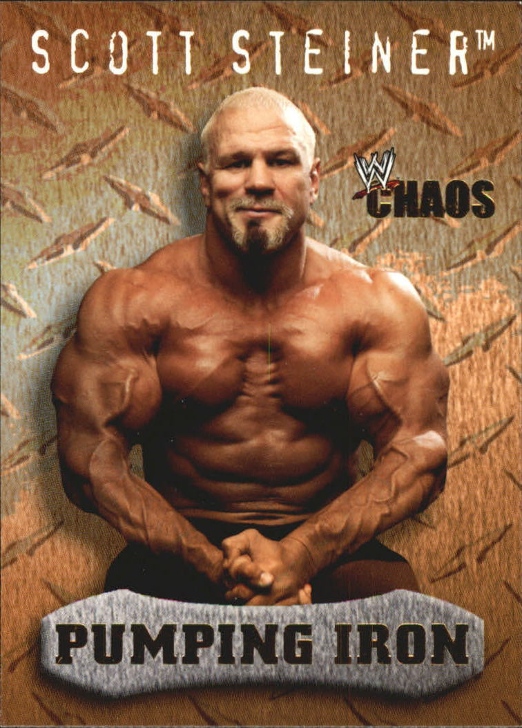 Скотт Штайнер WWE