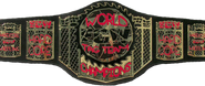 ECW World Tag Team Championship | Pro Wrestling | FANDOM powered by Wikia