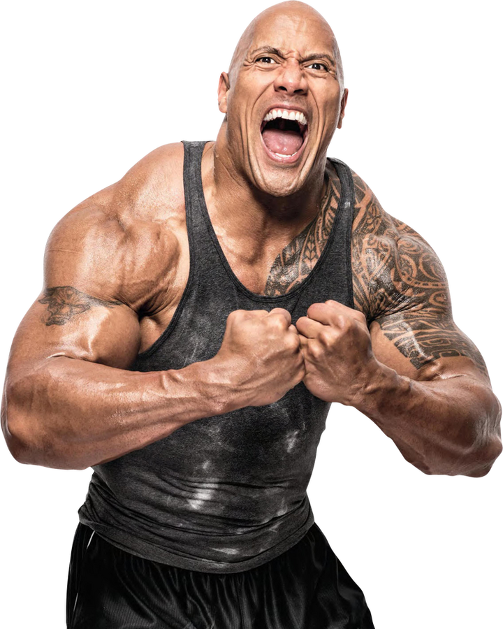 The Rock Pro Wrestling Fandom