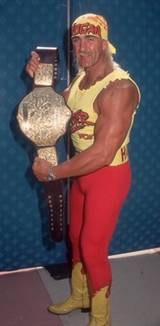 image hulk hogan wcw championship 4 jpg pro wrestling fandom hulk hogan flower size