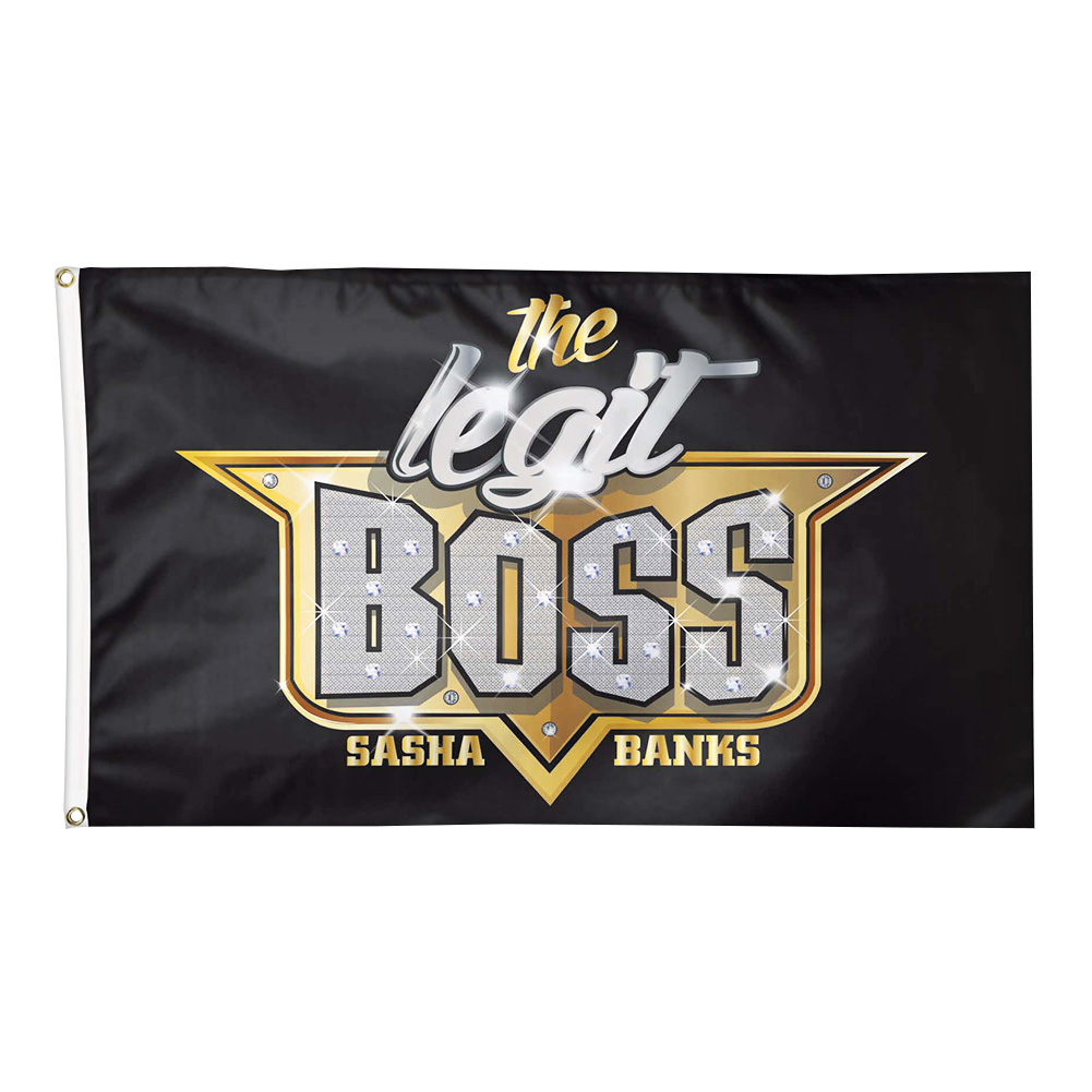 Sasha Banks 3 X 5 Logo Flag Pro Wrestling Fandom