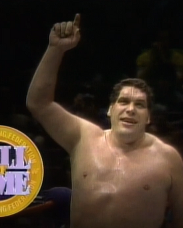 Wwe Hall Of Fame 1993 Pro Wrestling Fandom