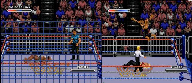 Image WWF Rage in the Cage (Game).1.jpg Pro Wrestling FANDOM