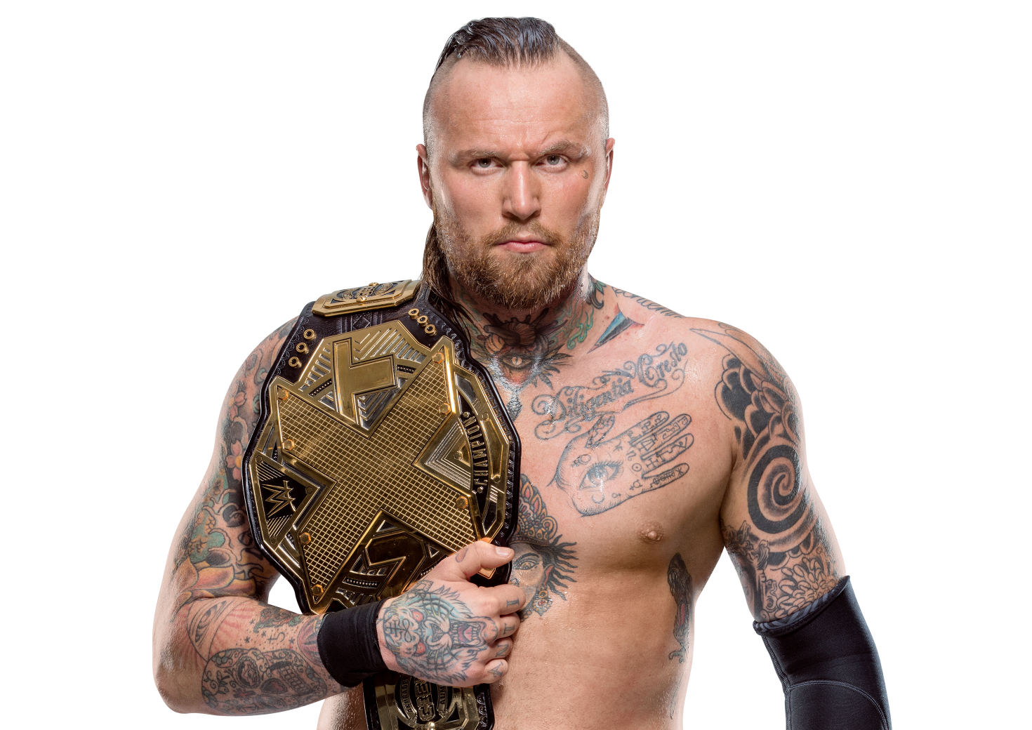 Image  Aleister Black NXT Champion.png  Pro Wrestling  FANDOM powered by Wikia