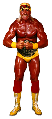 Image - Hulk hogan 95.png | Pro Wrestling | FANDOM powered by Wikia
