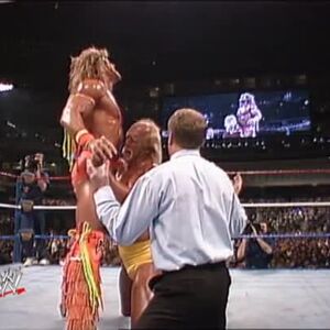 Ultimate Warrior The Ultimate Collection Pro Wrestling Fandom