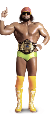 randy savage doll