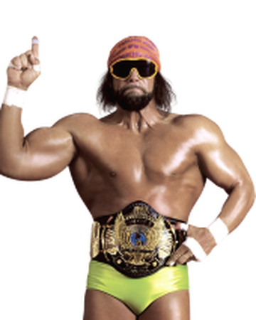 Randy Savage Pro Wrestling Fandom