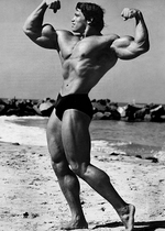 Arnold schwarzenegger prime