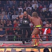 Ultimate Warrior The Ultimate Collection Pro Wrestling Fandom