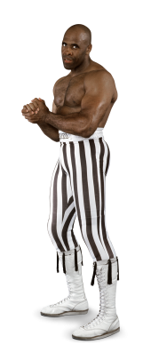 virgil wrestler