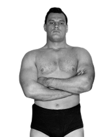 Wladek Kowalski Pro Wrestling Fandom