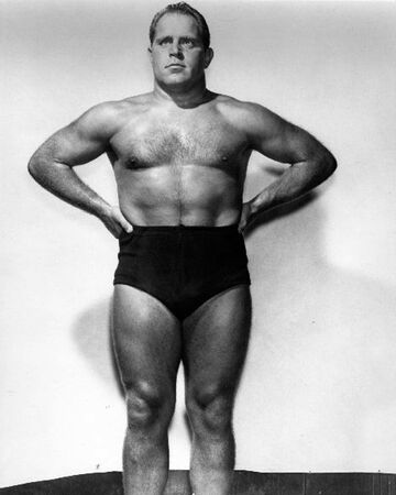 the destroyer wrestler
