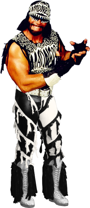 Image Randysavage Nwo Png Pro Wrestling Fandom Powered By Wikia