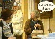 Monty python spam2