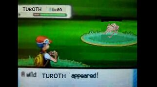 Turoth pokemon