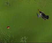 Dragon Impling
