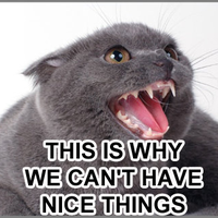 Arguecat