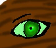 Avalon eye