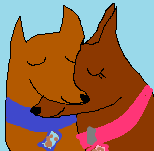 Honey X Justin