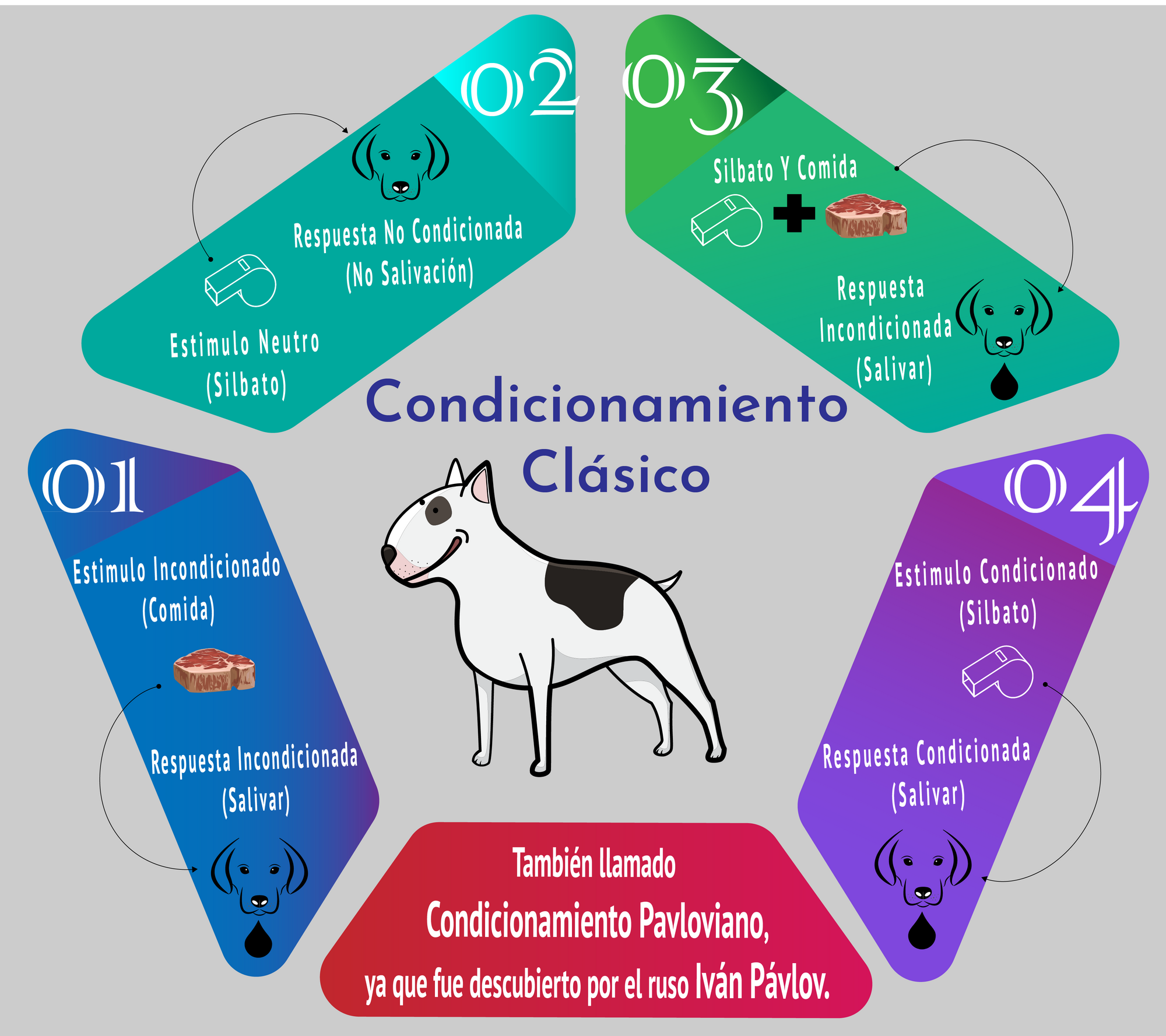 Resultado de imagen para condicionamiento clasico