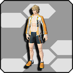 泳装 梦幻之星ol2服装 维基 Fandom