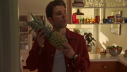 Ananas 1