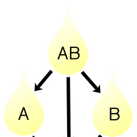 Blood Groups Psychology Wiki Fandom