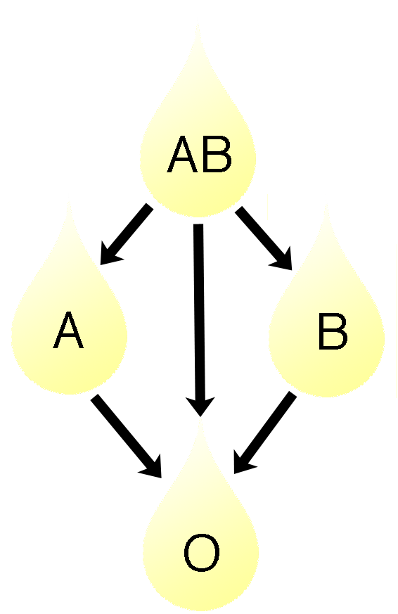 Blood groups | Psychology Wiki | FANDOM powered by Wikia