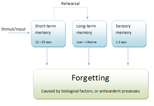 Atkinson-Shiffrin memory model | Psychology Wiki | FANDOM ... diagram of emdr 