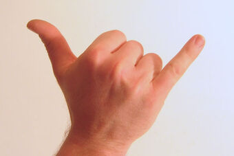 Types Of Gestures Psychology Wiki Fandom